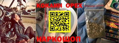 мдпв Бийск