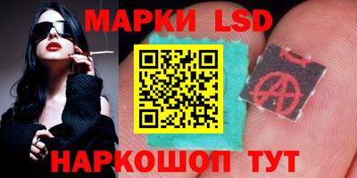 мдпв Бийск