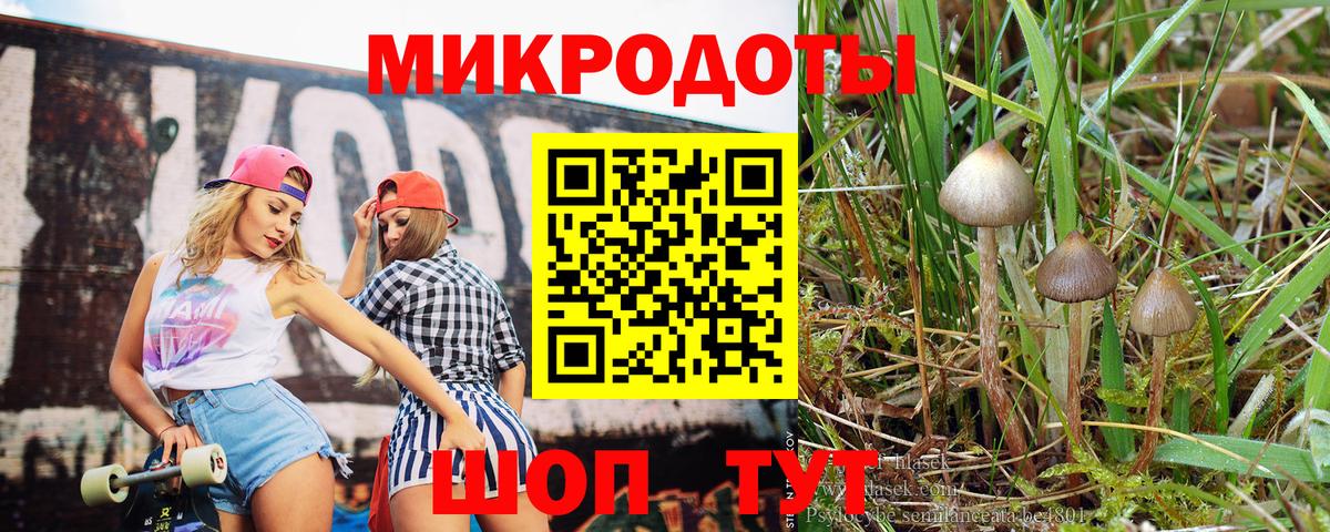 Псилоцибиновые грибы Psilocybine cubensis  Вход с VPN  Галлюциногенные грибы ЛСД  Брянск 